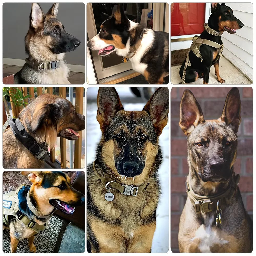PETRAVEL Tactical Training Collar And Leash Set With Control Handle