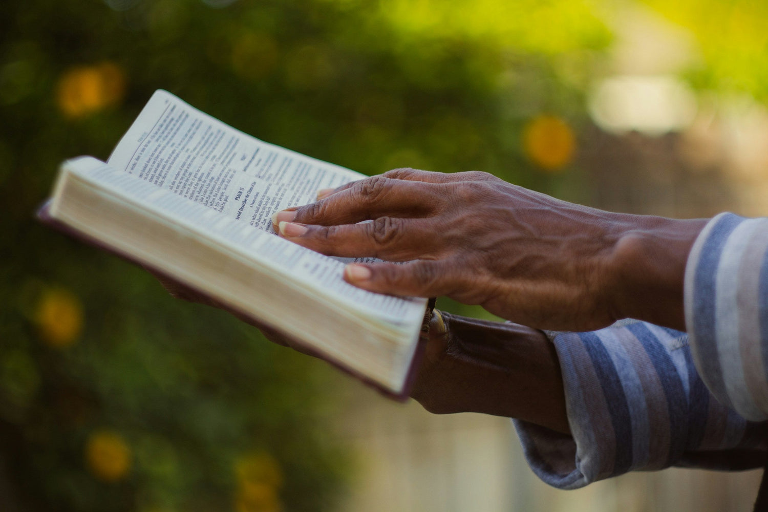 Faith on the Go & Outdoor Living