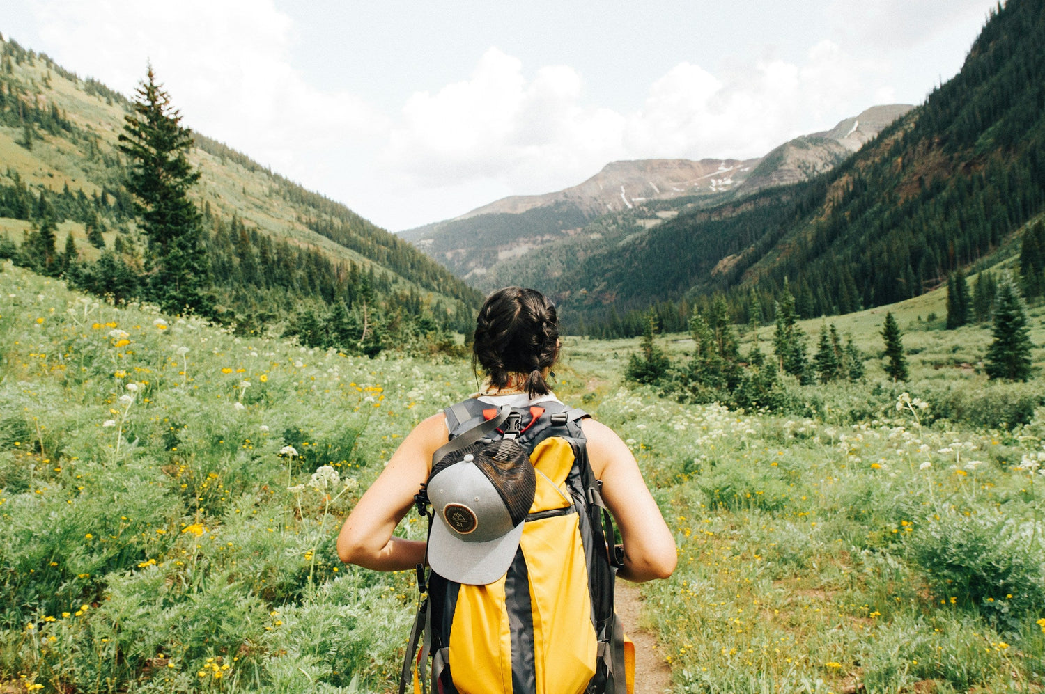 Field Gear & Basecamp