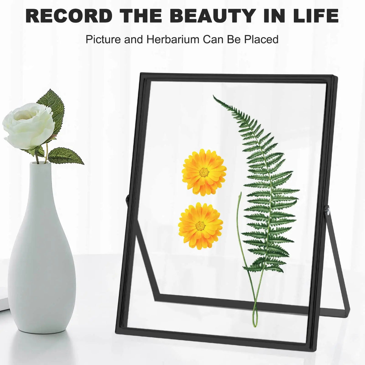 IZIDDO Floating Metal Glass Picture Frame Set for Tabletop Display