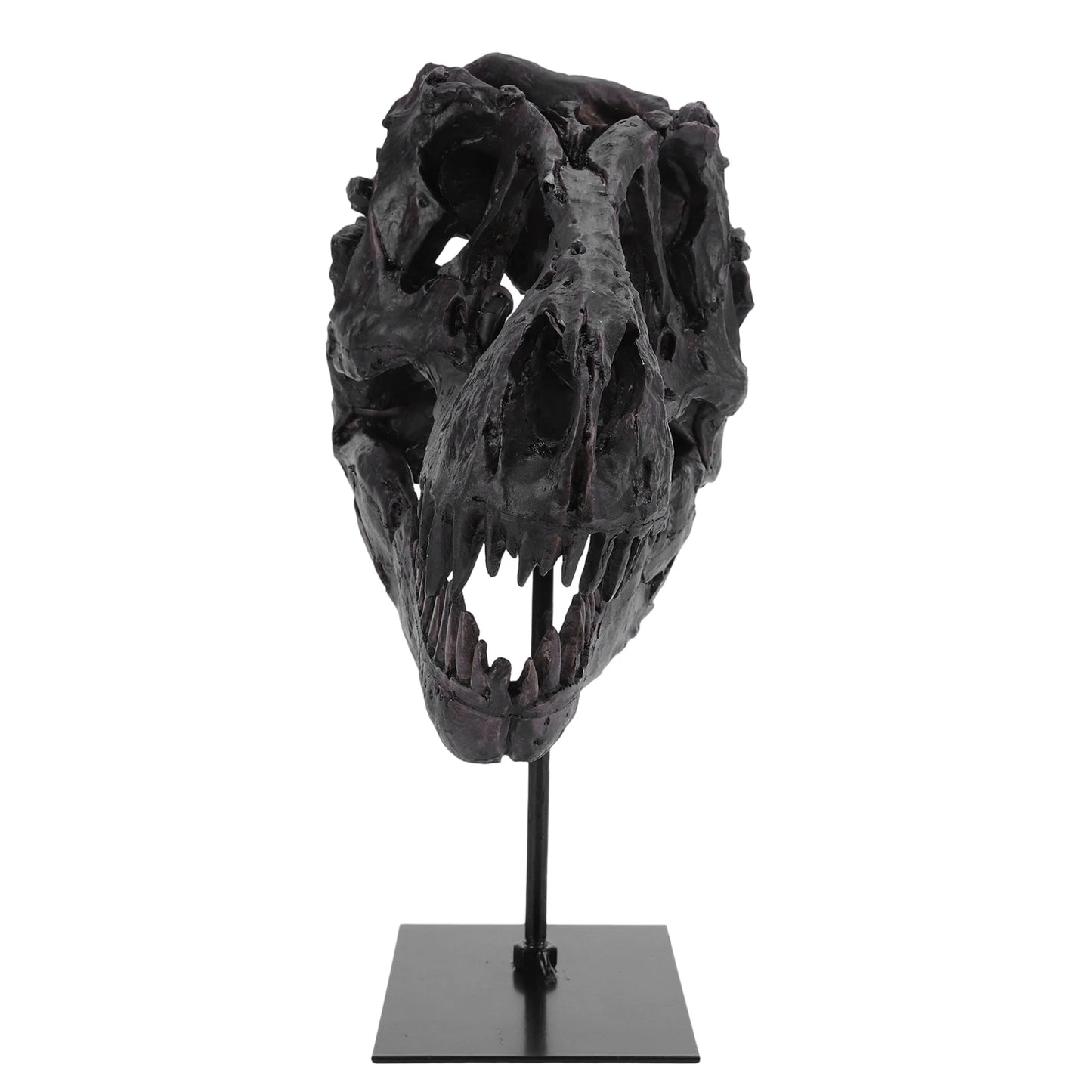 Tyrannosaurus Rex Fossil Resin Skull Figurine With Bracket Desk Decor