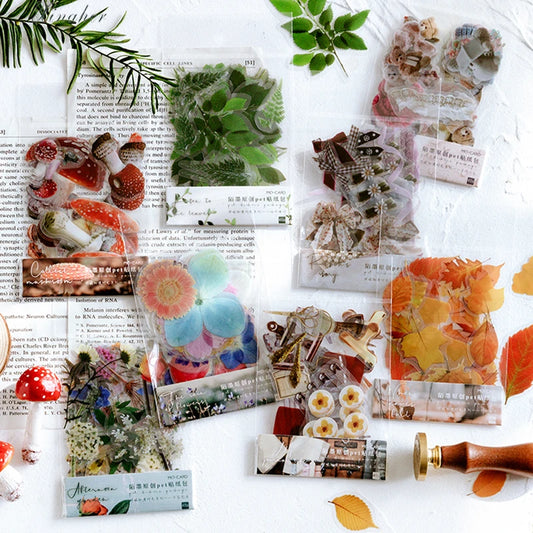 Vintage Ginkgo Leaf Transparent PET Sticker Pack For Journals