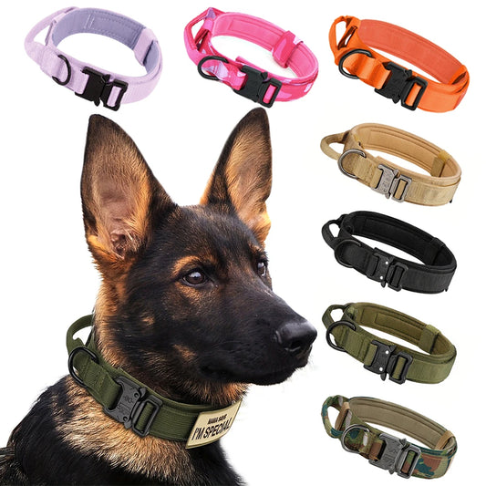PETRAVEL Tactical Training Collar And Leash Set With Control Handle