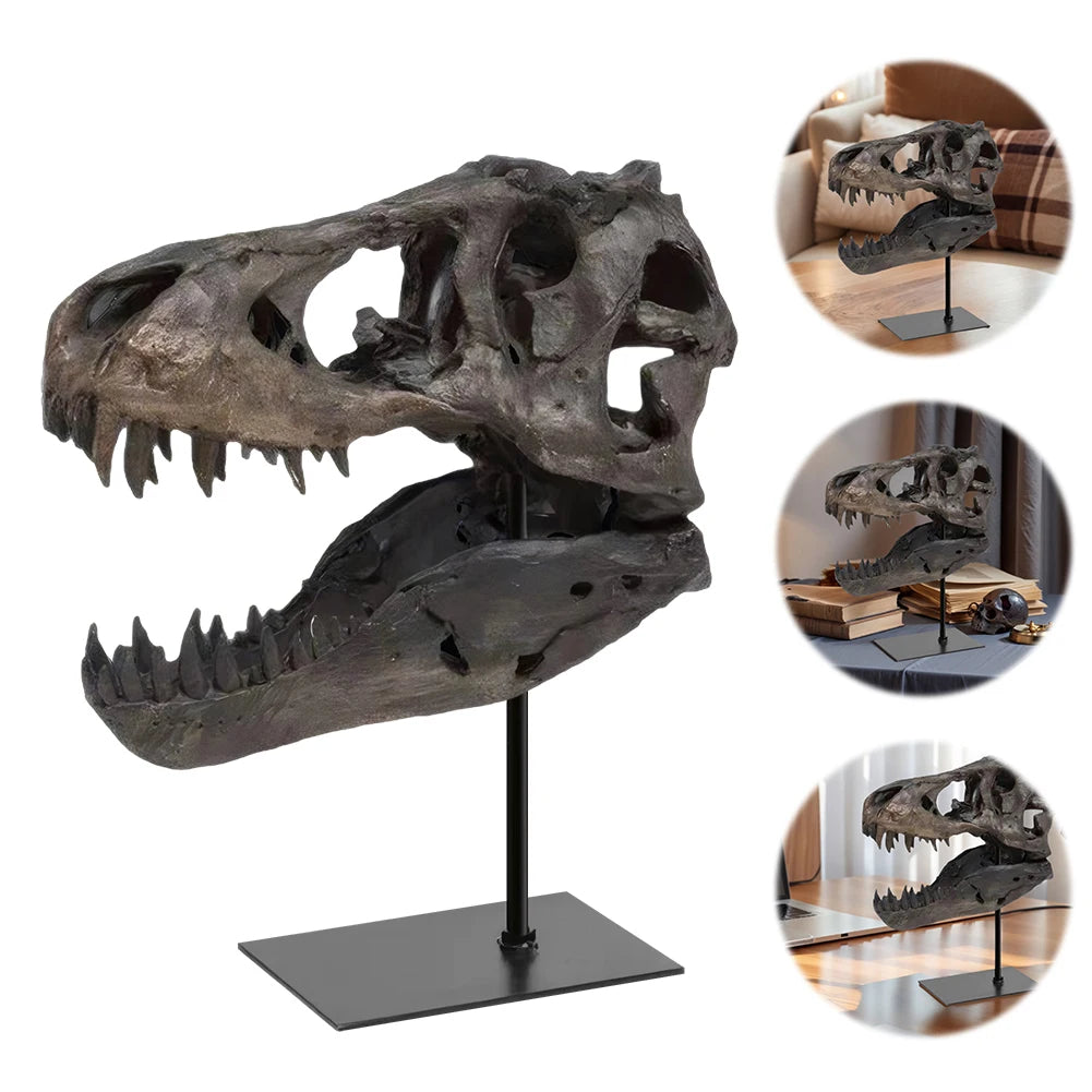 Tyrannosaurus Rex Fossil Resin Skull Figurine With Bracket Desk Decor
