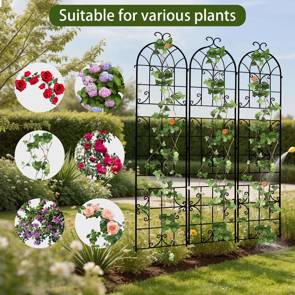 Rustproof Metal Garden Trellis For Climbing Plants And Vines