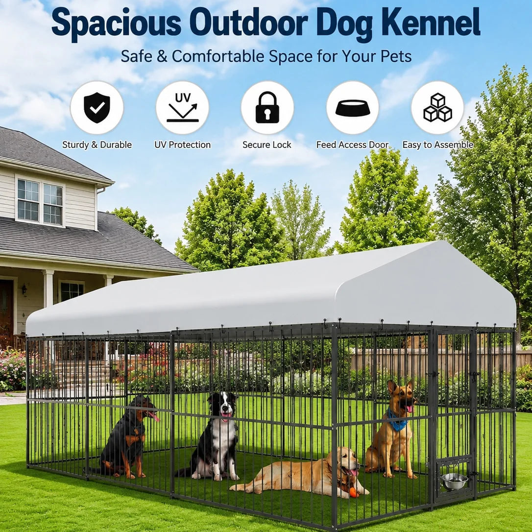 Heavy Duty Outdoor Dog Kennel With Secure Walk In Gate