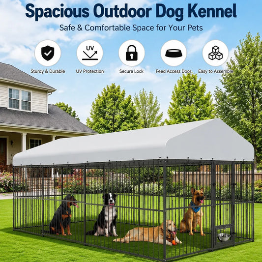 Heavy Duty Outdoor Dog Kennel With Secure Walk In Gate