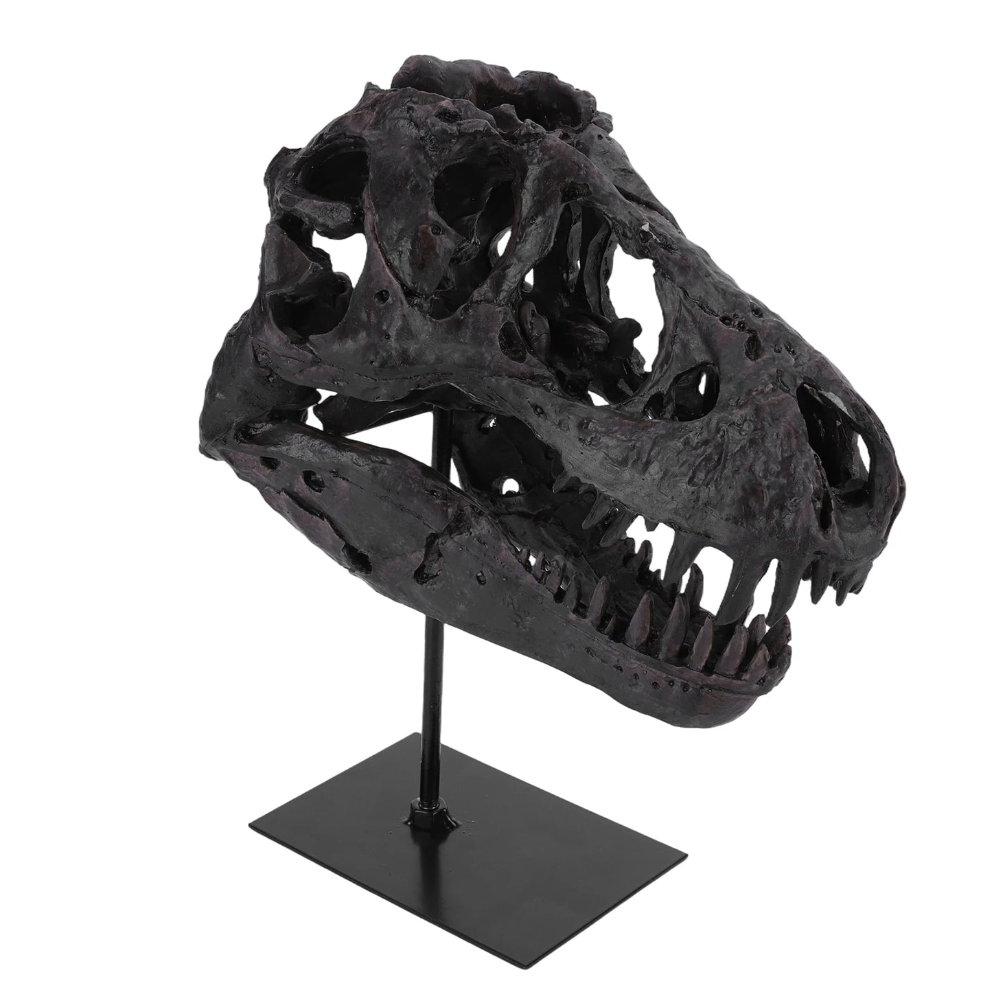 Tyrannosaurus Rex Fossil Resin Skull Figurine With Bracket Desk Decor