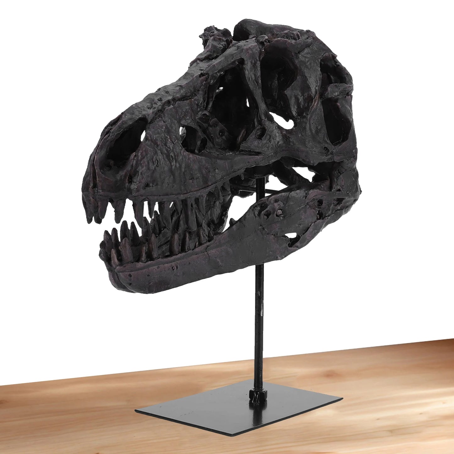 Tyrannosaurus Rex Fossil Resin Skull Figurine With Bracket Desk Decor