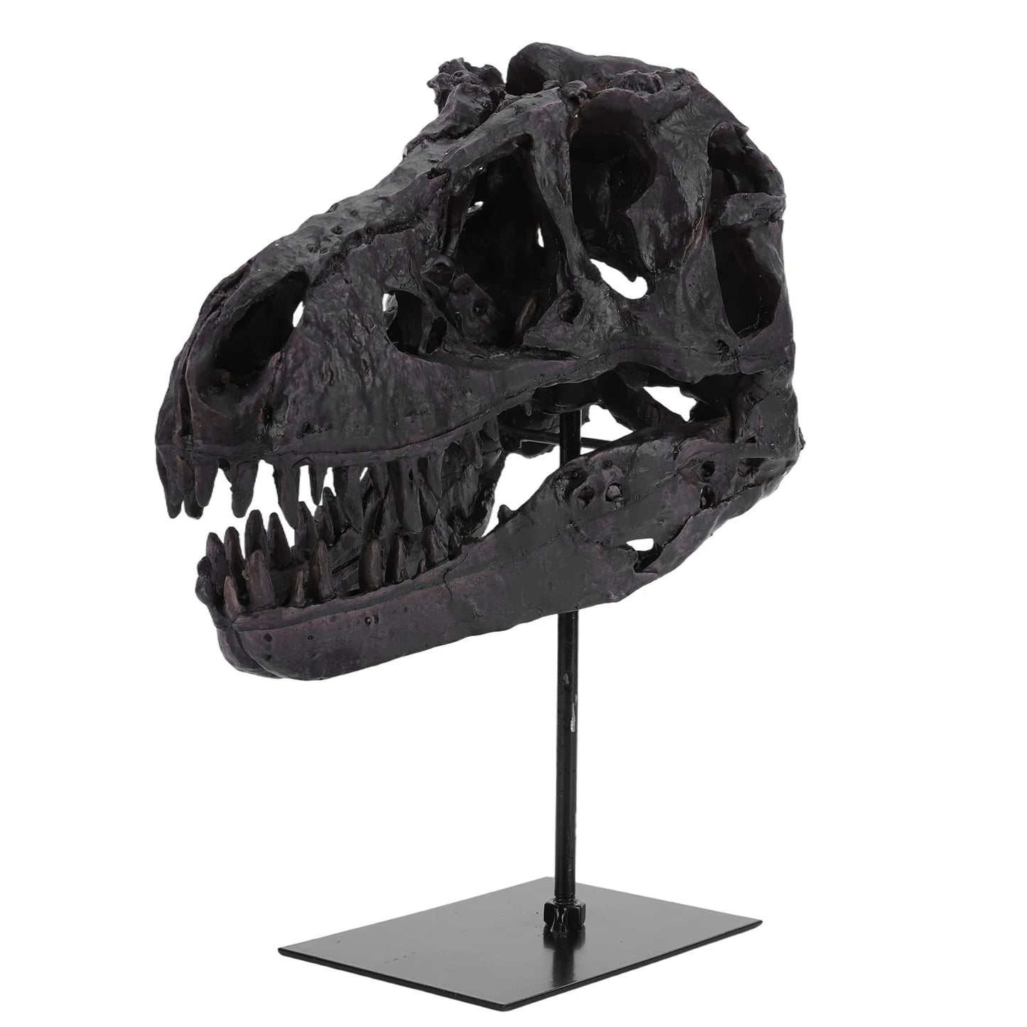 Tyrannosaurus Rex Fossil Resin Skull Figurine With Bracket Desk Decor